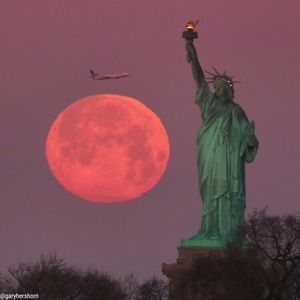 Meet your Posher, Falana